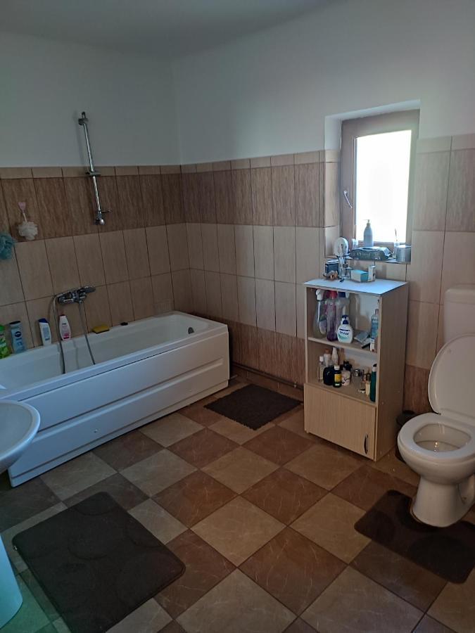Central House Hotel Curtea De Arges Luaran gambar